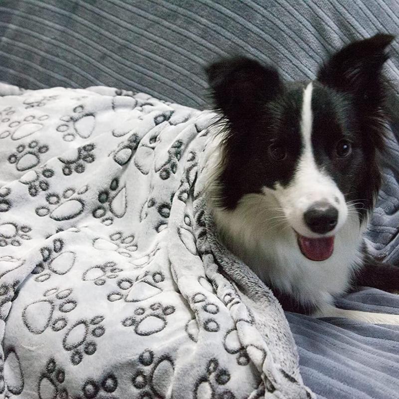 Couverture antistatique pour animaux de compagnie en flanelle : facile à nettoyer.