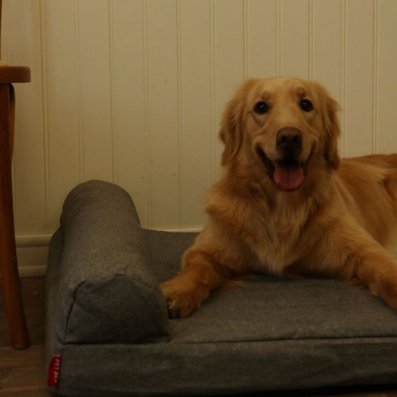 Orthopedic 25D Memory Sponge Dog Bed: Superior Spinal Support