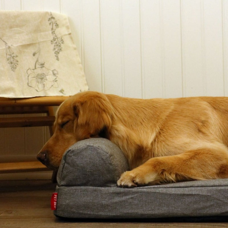 Lit orthopédique pour chien en éponge à mémoire de forme 25D : soutien supérieur de la colonne vertébrale