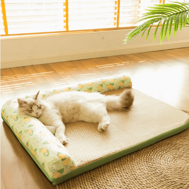 Scratch-Resistant Bolster Cat Bed and Dog Bed: Elevated Headrest