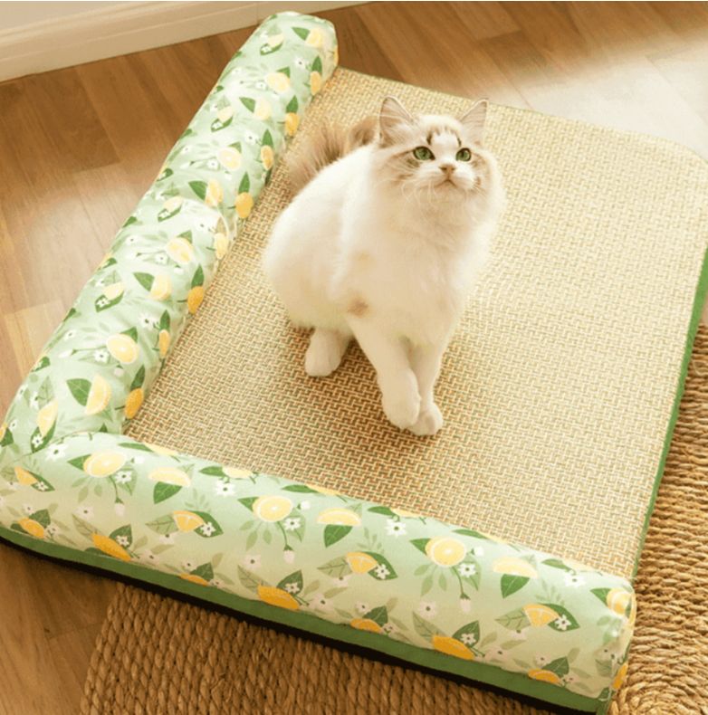 Scratch-Resistant Bolster Cat Bed and Dog Bed: Elevated Headrest