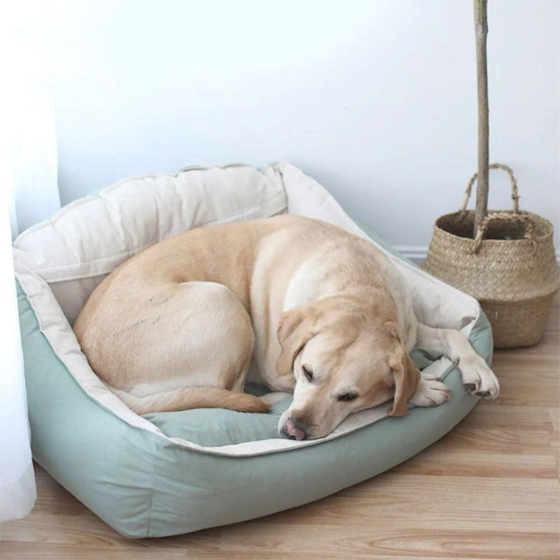 Soft Plush Cushion Sofa Dog Bed: Optimal Comfort and Durability