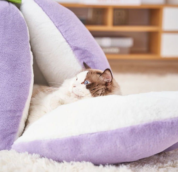 Cueva para gatos de terciopelo de nube semicerrada suave: hipoalergénica