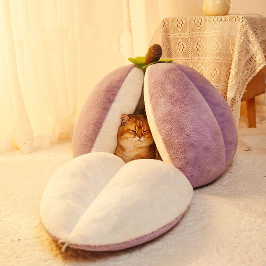 Soft Semi-Enclosed Cloud Velvet Cat Cave: Hypoallergenic | Purple | Mangosteen